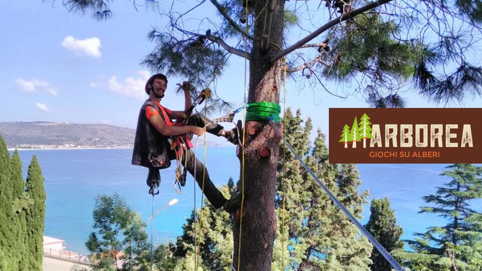 Costruisci il tuo parco! Costruzione Parchi Avventura in Italia