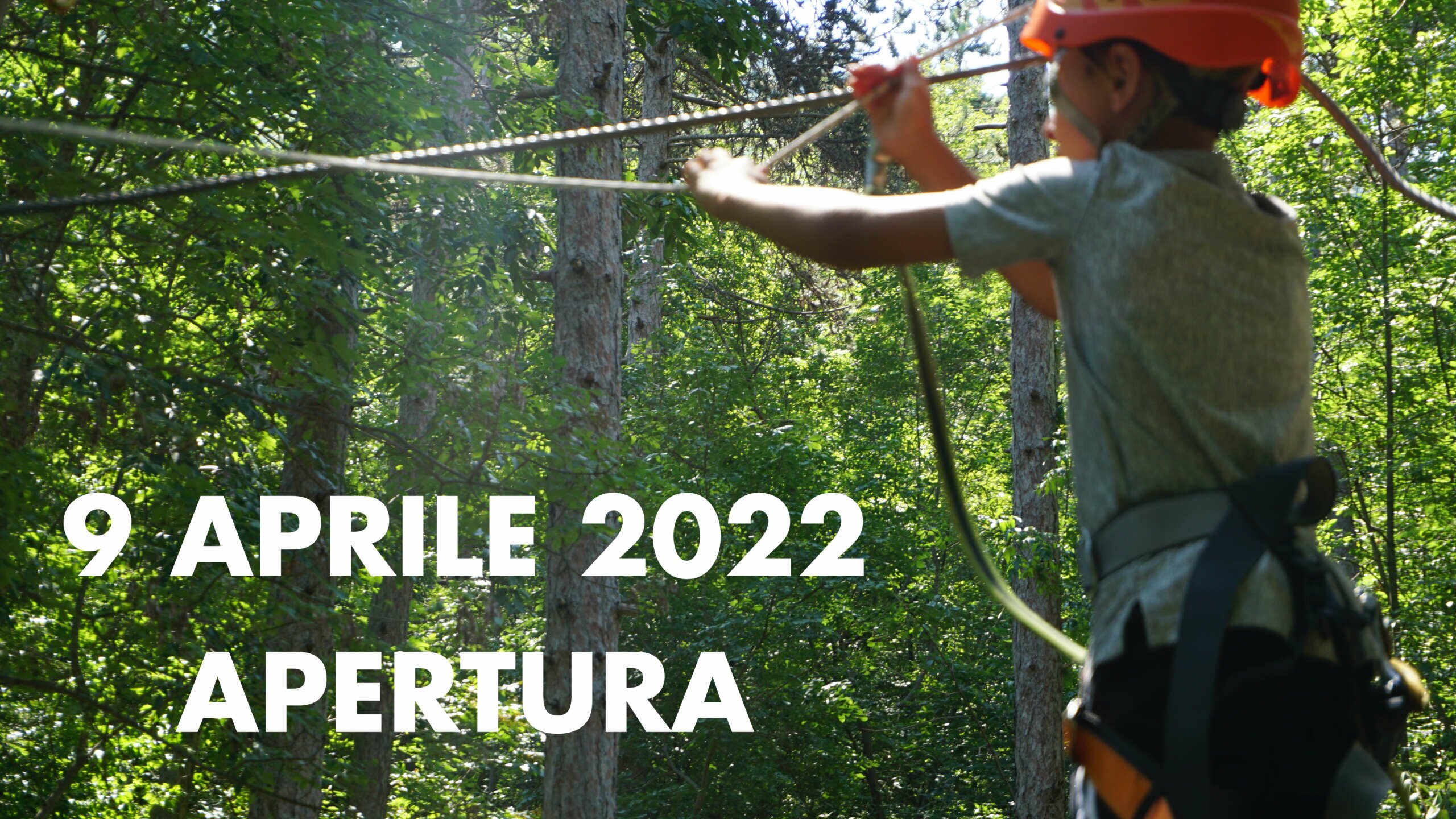 APERTURA 2022